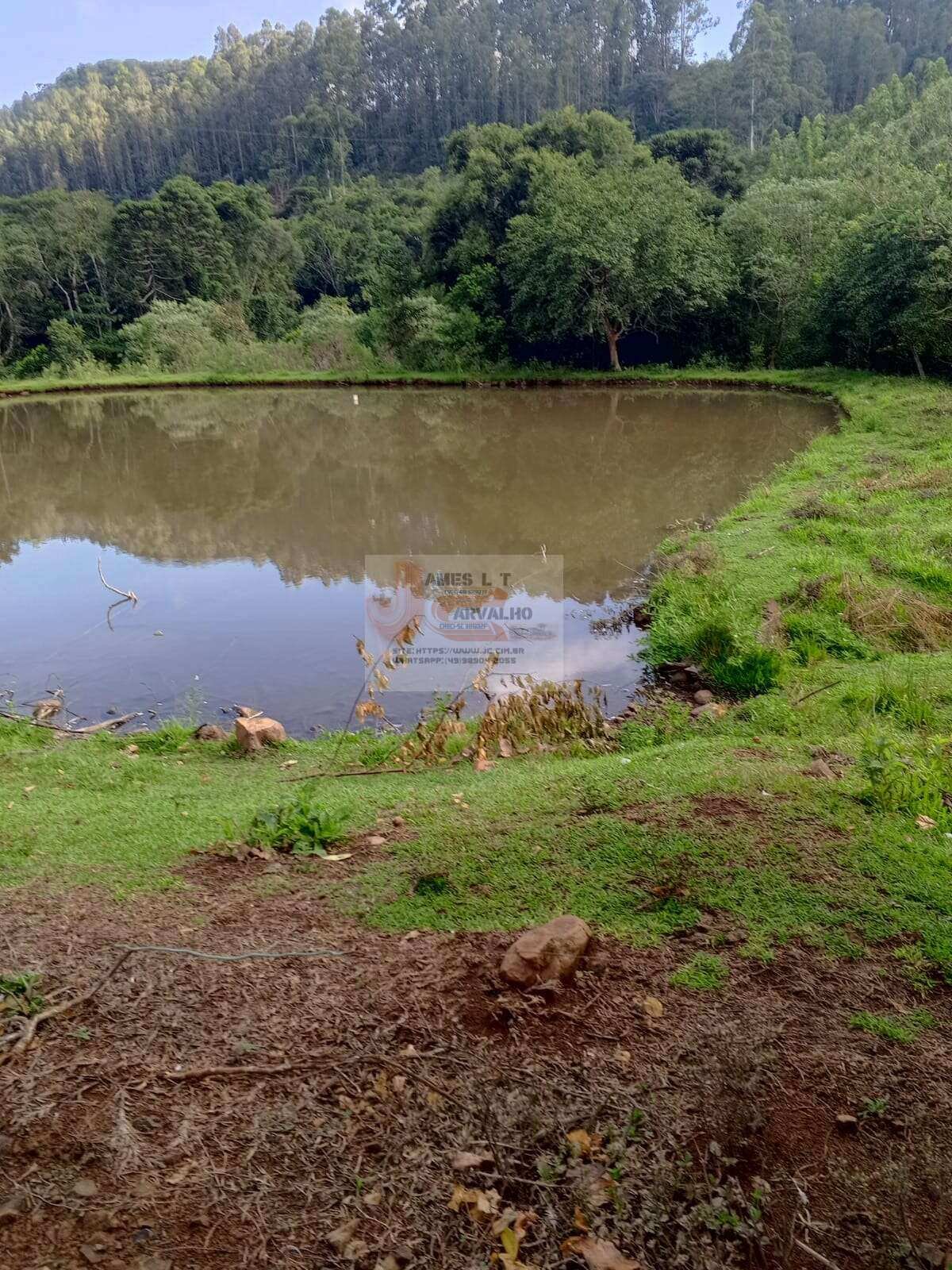 Terreno à venda - Foto 4