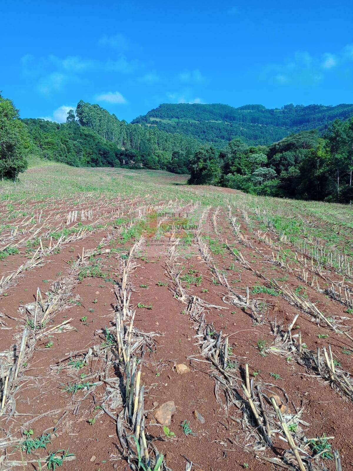 Terreno à venda - Foto 1