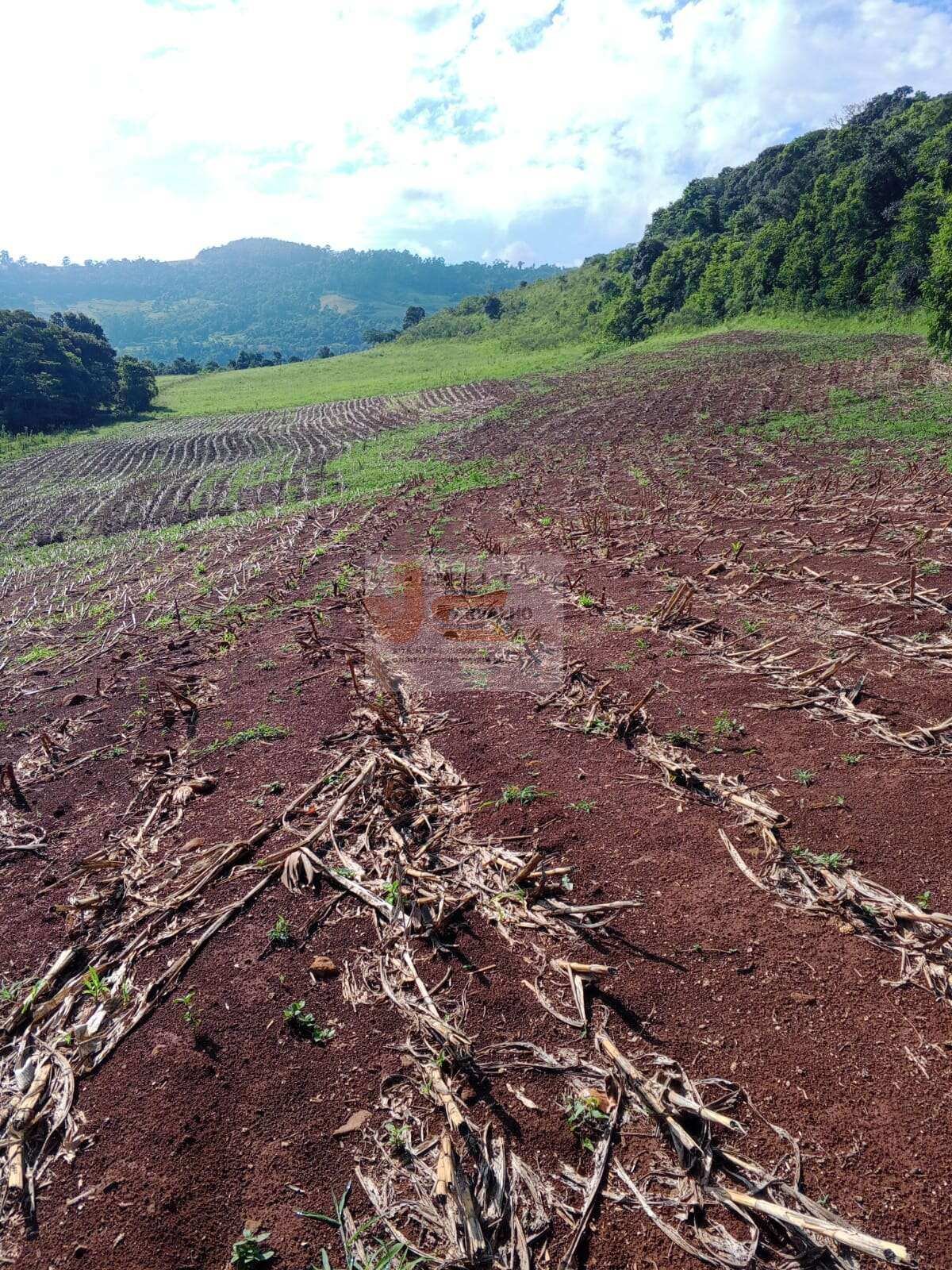 Terreno à venda - Foto 7