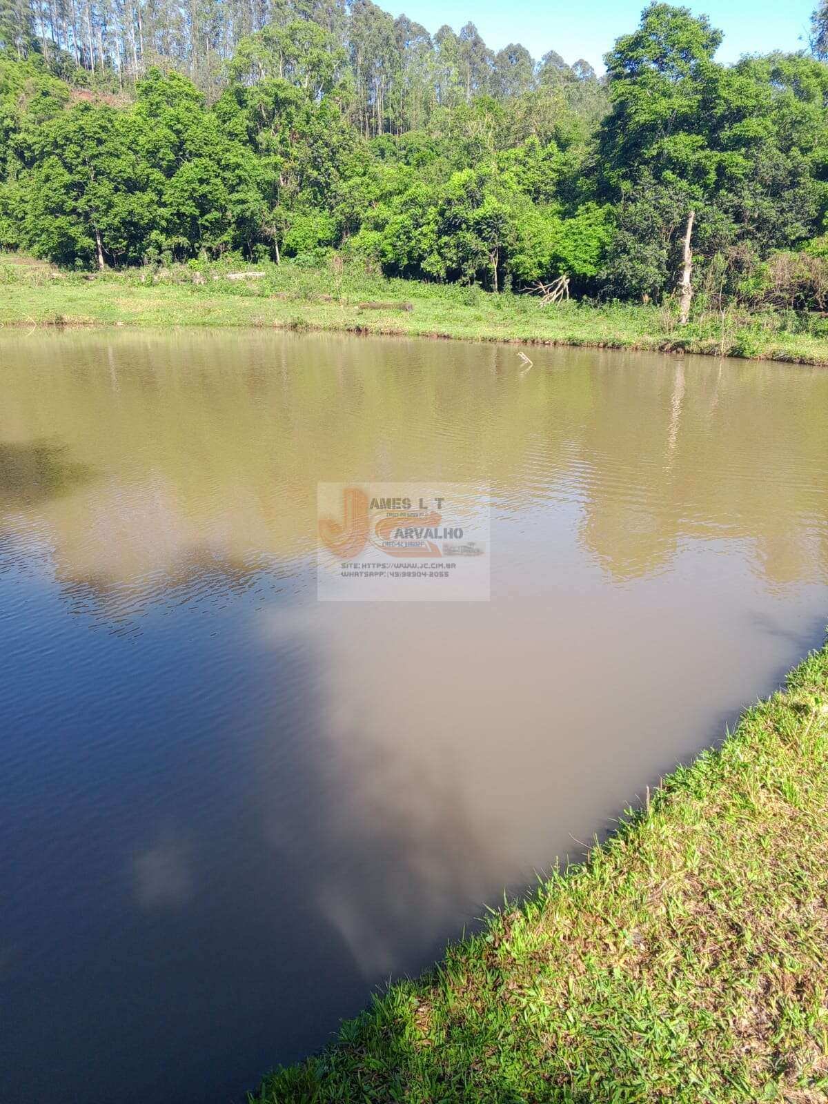 Terreno à venda - Foto 12