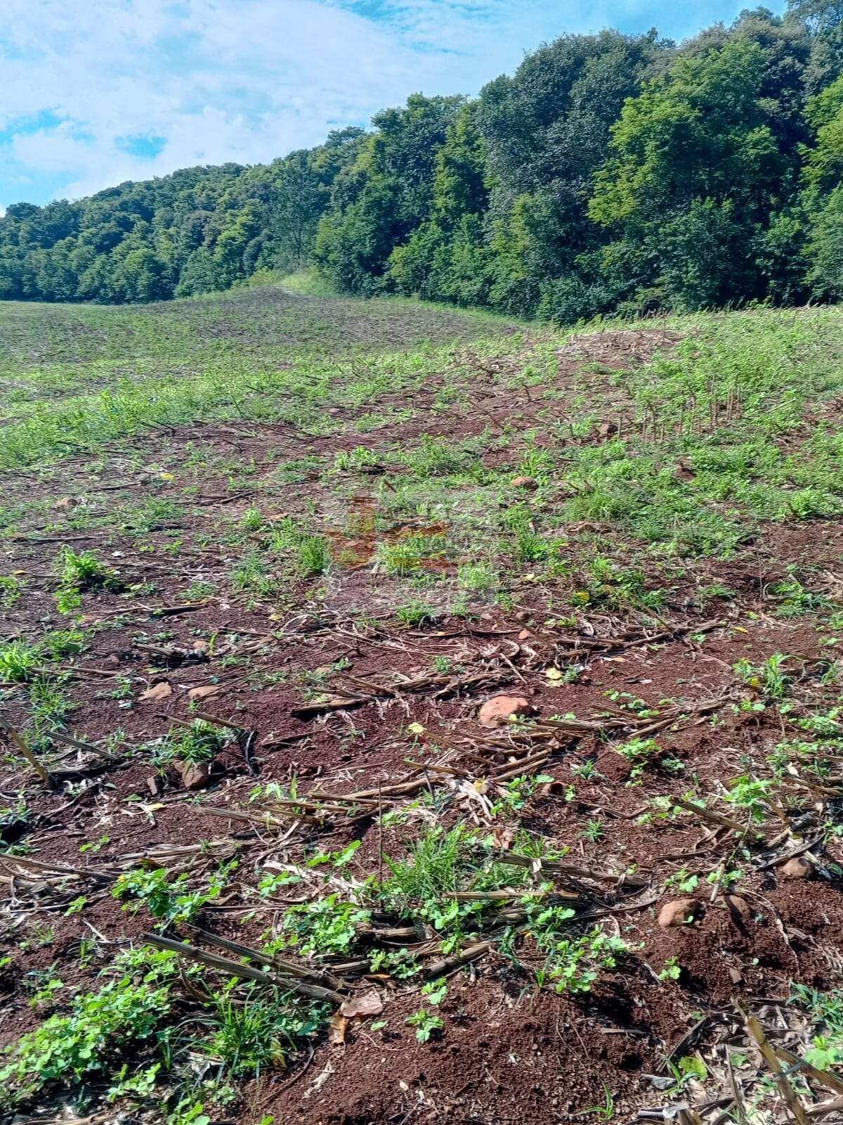 Terreno à venda - Foto 21