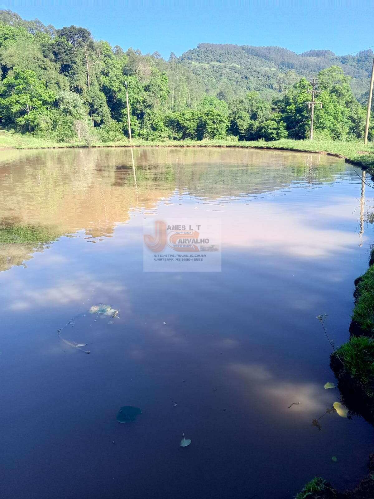Terreno à venda - Foto 9