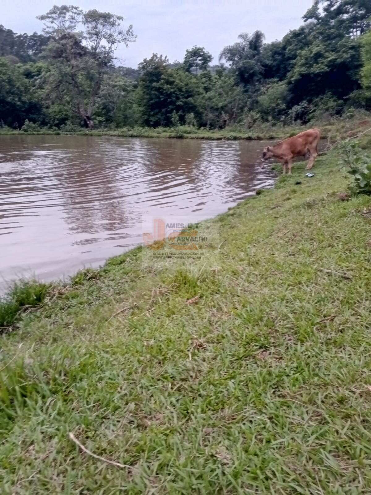 Terreno à venda - Foto 14