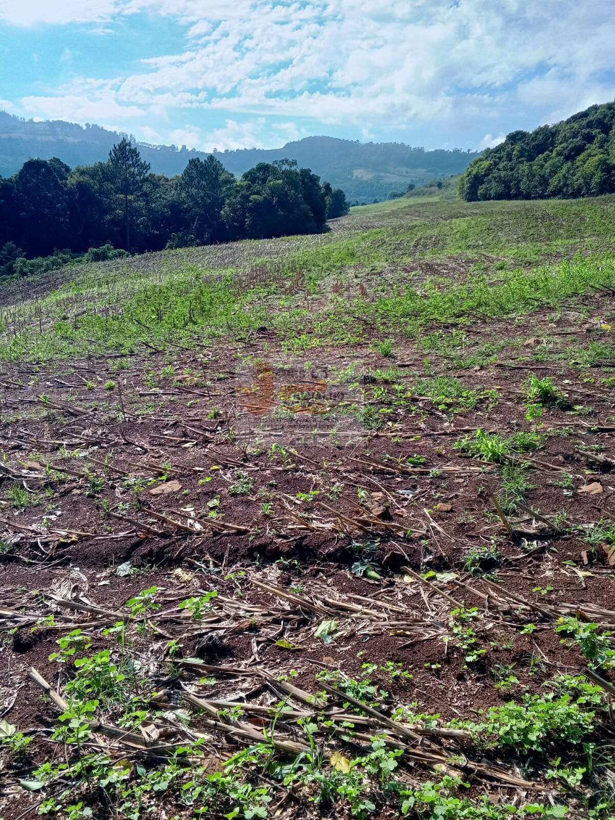 Terreno à venda - Foto 23