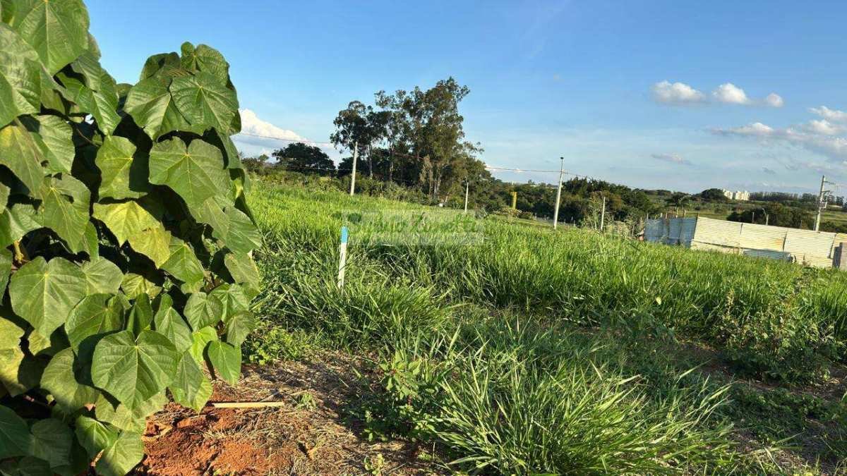 Terreno de 300m2 - 12x25m em Condomínio Acácias - Paulínia - Sylvio Zanetti Corretor de Imóveis