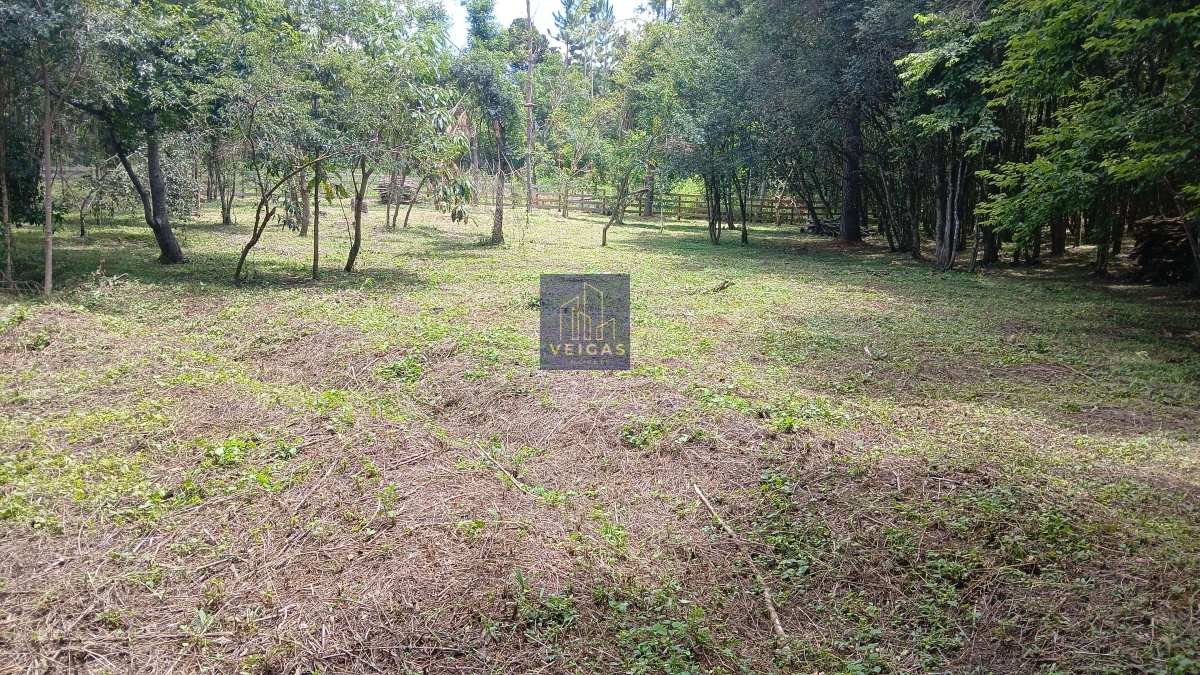 Terreno à venda - ,Fernandes Pinheiro