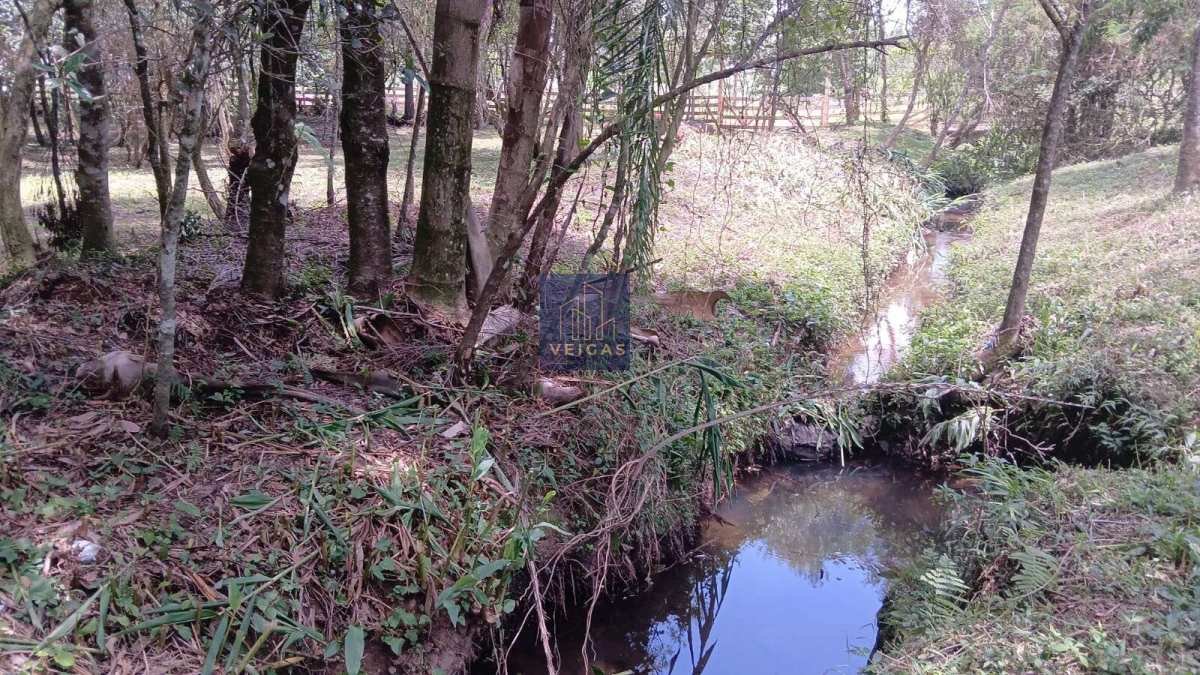  - Terreno urbano à venda – Perfeito para seu novo projeto ou chácara dos sonhos - em Fernandes Pinheiro,  7.260 m²