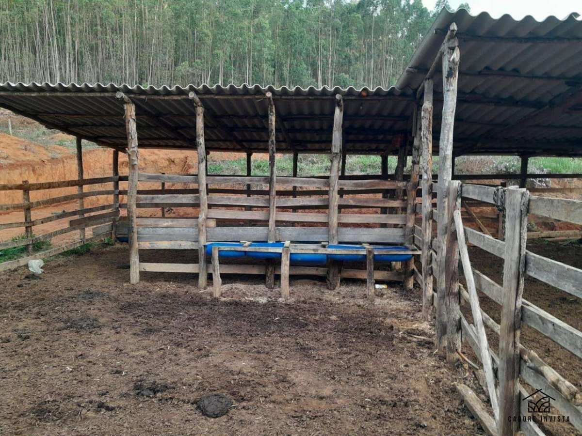  - Fazenda na cidade Senhora de Oliveira