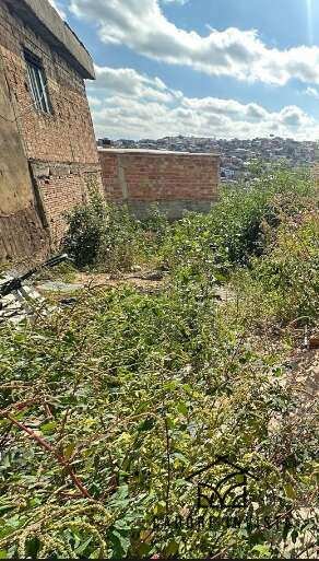 Lote à venda - Lindéia (Barreiro),Belo Horizonte
