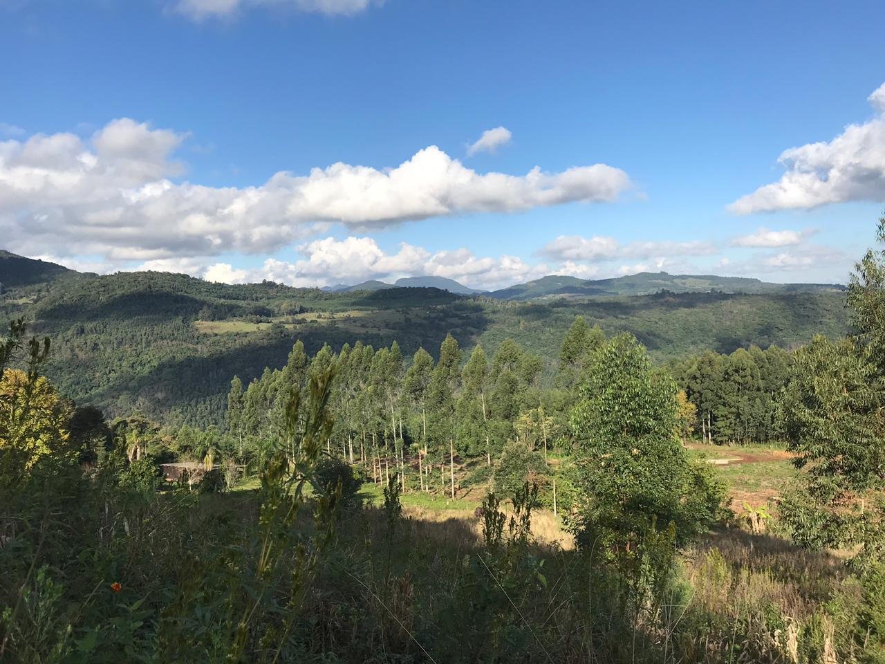 Área de Terras - São Francisco de Paula - Imobiliária Hoffmann