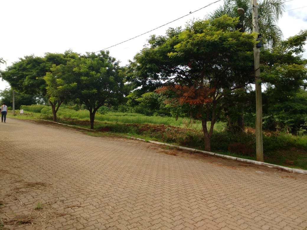 Terreno - Bairro União - Dois Irmãos