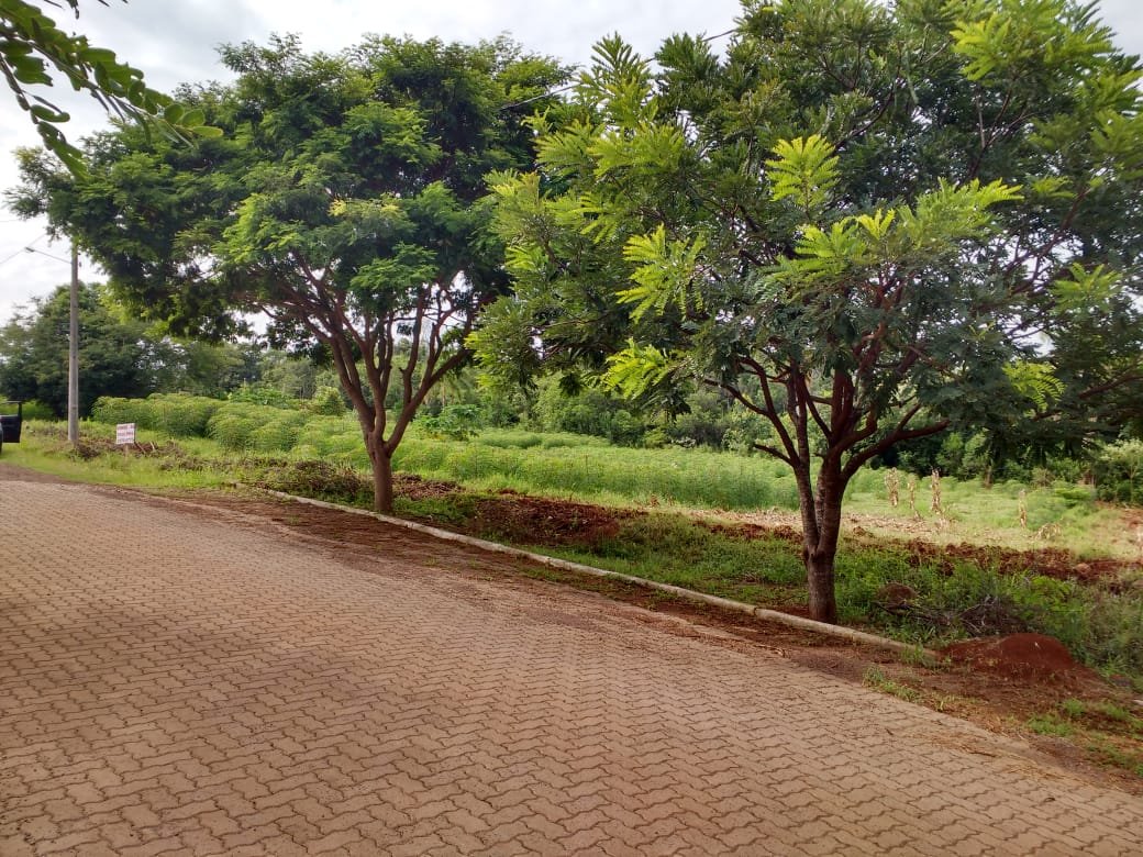 Terreno - Bairro União - Dois Irmãos - Imobiliária Hoffmann