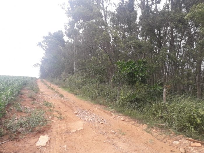 Área de Terras - Bairro Boa Vista - Portão - Imobiliária Hoffmann