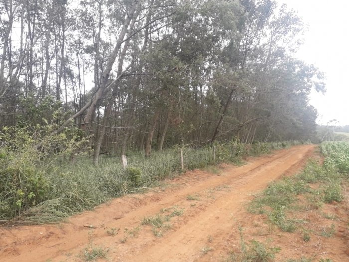 Área de Terras - Bairro Boa Vista - Portão - Imobiliária Hoffmann