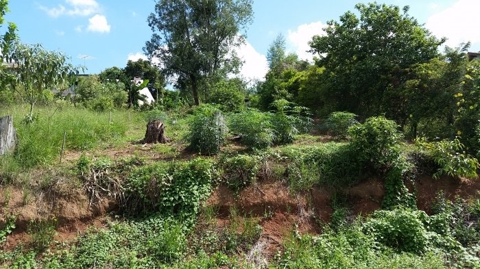 Terreno - Bairro Rincão - Novo Hamburgo - Imobiliária Hoffmann