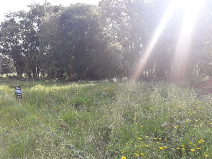 Terreno -  Bairro Cidade Nova - Ivoti - Imobiliária Hoffmann