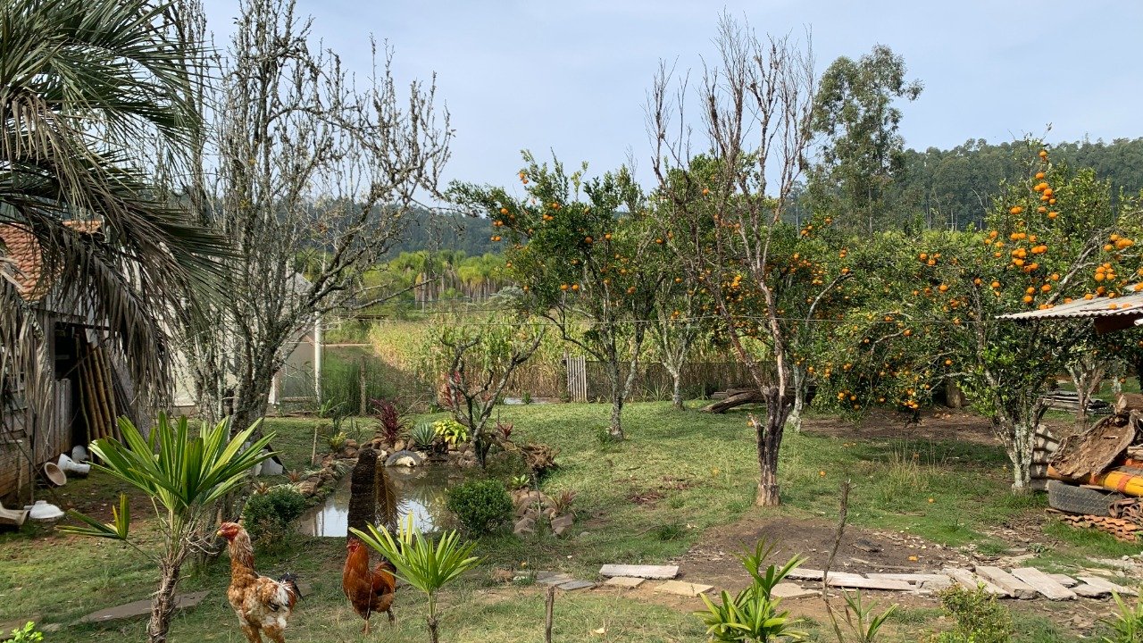 Chácara/Sítio - Bairro Sertão Capivara - Portão - Imobiliária Hoffmann