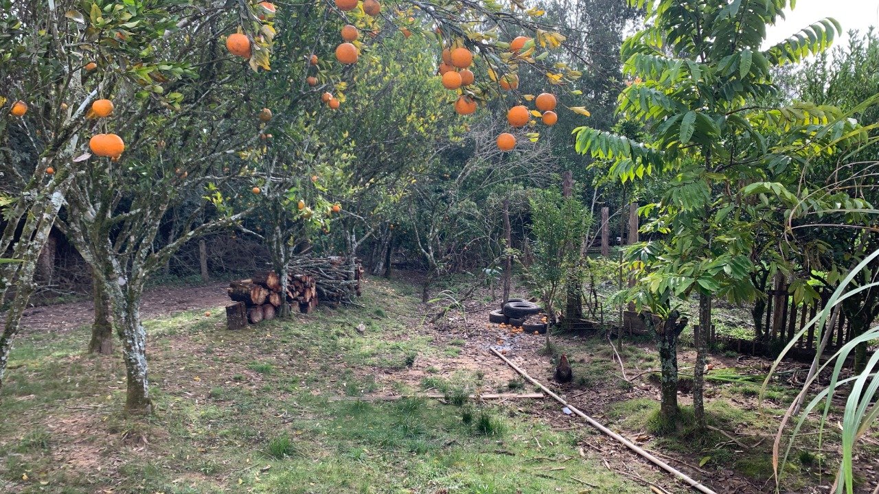 Chácara/Sítio - Bairro Sertão Capivara - Portão - Imobiliária Hoffmann