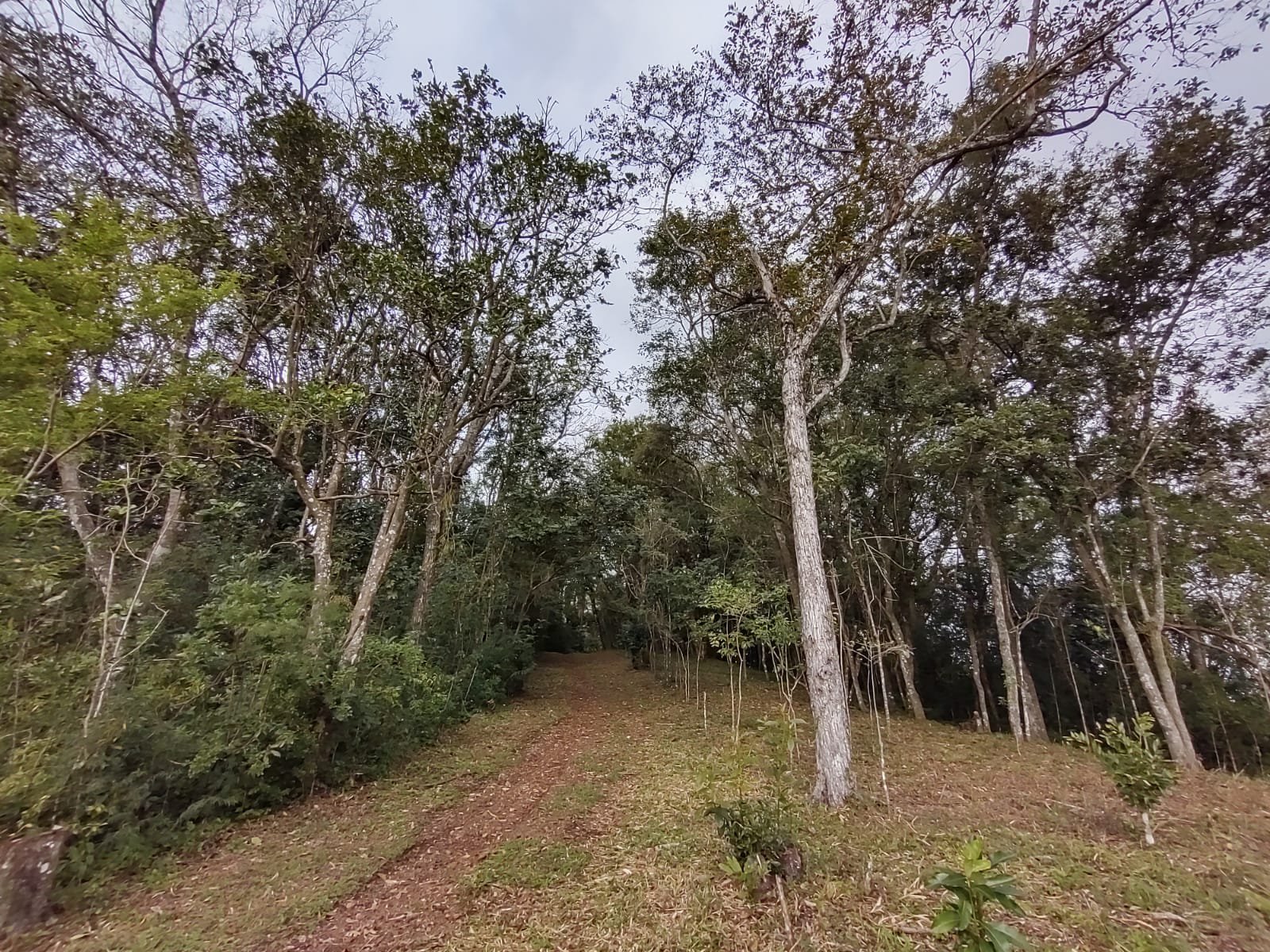 Área de Terras - Bairro Rincão Gaúcho - Estância Velha - Imobiliária Hoffmann