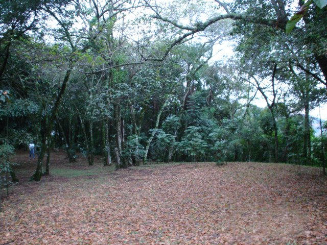 Área de Terras - Bairro Rincão Gaúcho - Estância Velha - Imobiliária Hoffmann