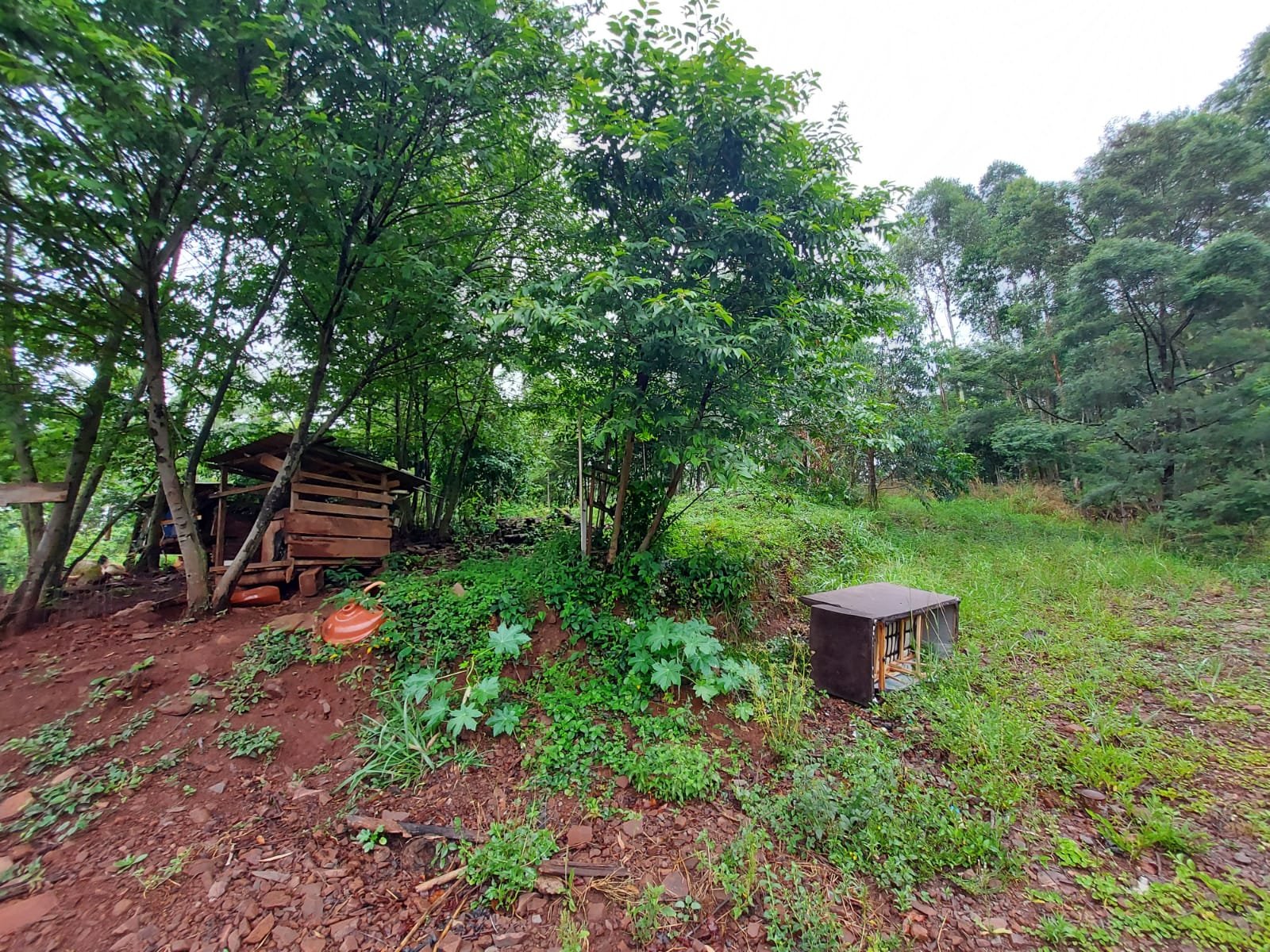 Área de terra - Bairro Campo Grande - Estância Velha - Imobiliária Hoffmann