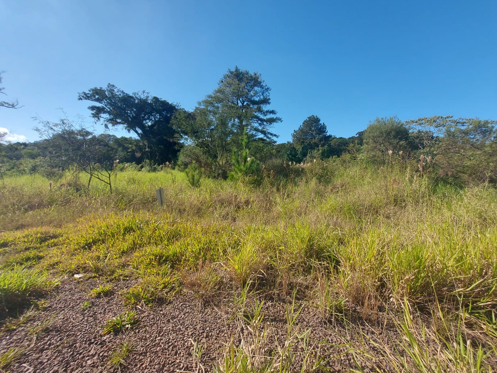 Terreno - Bairro União - Estância Velha - Imobiliária Hoffmann