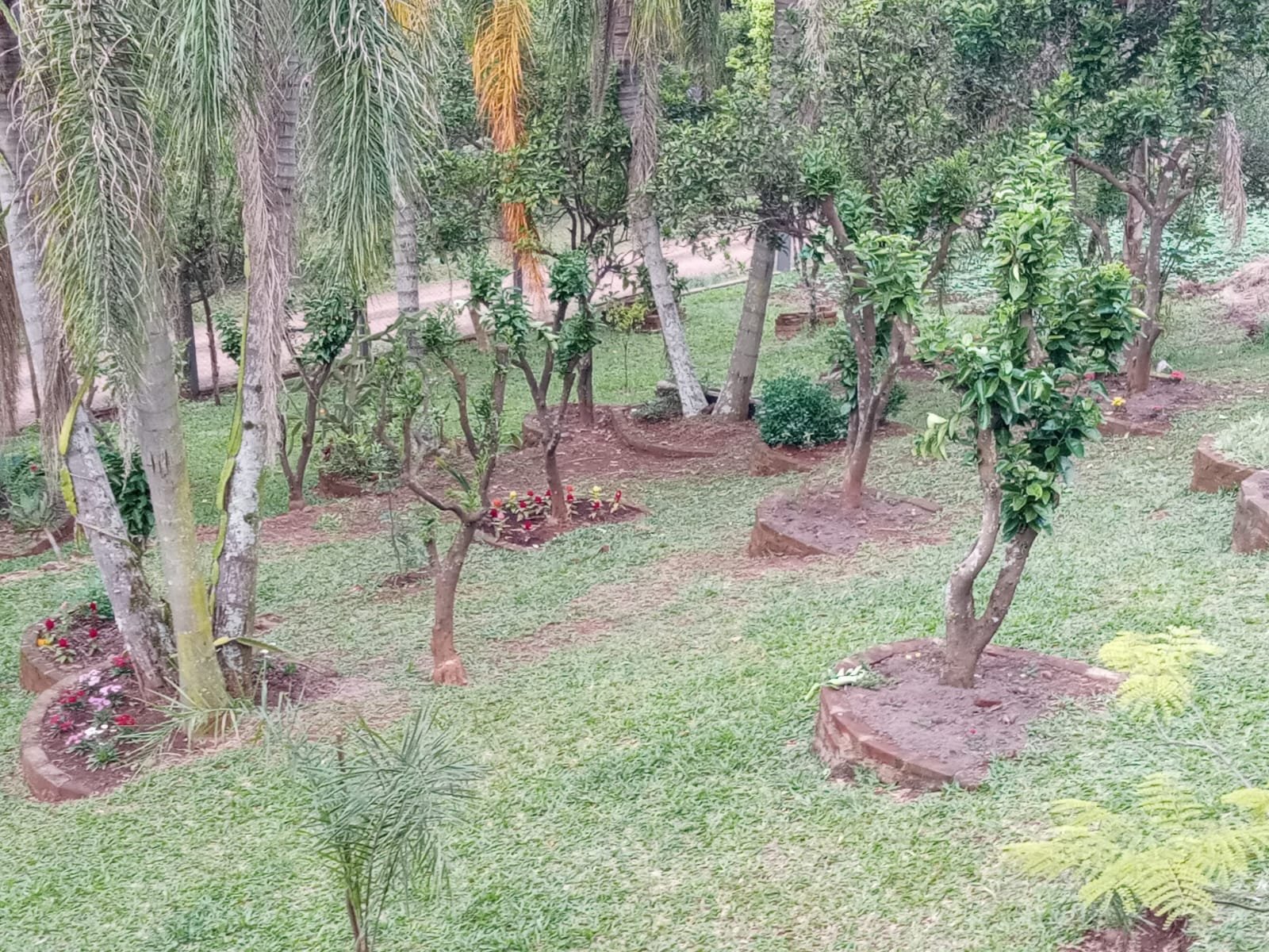 Chácara - Bairro Sertão Capivara - Portão - Imobiliária Hoffmann