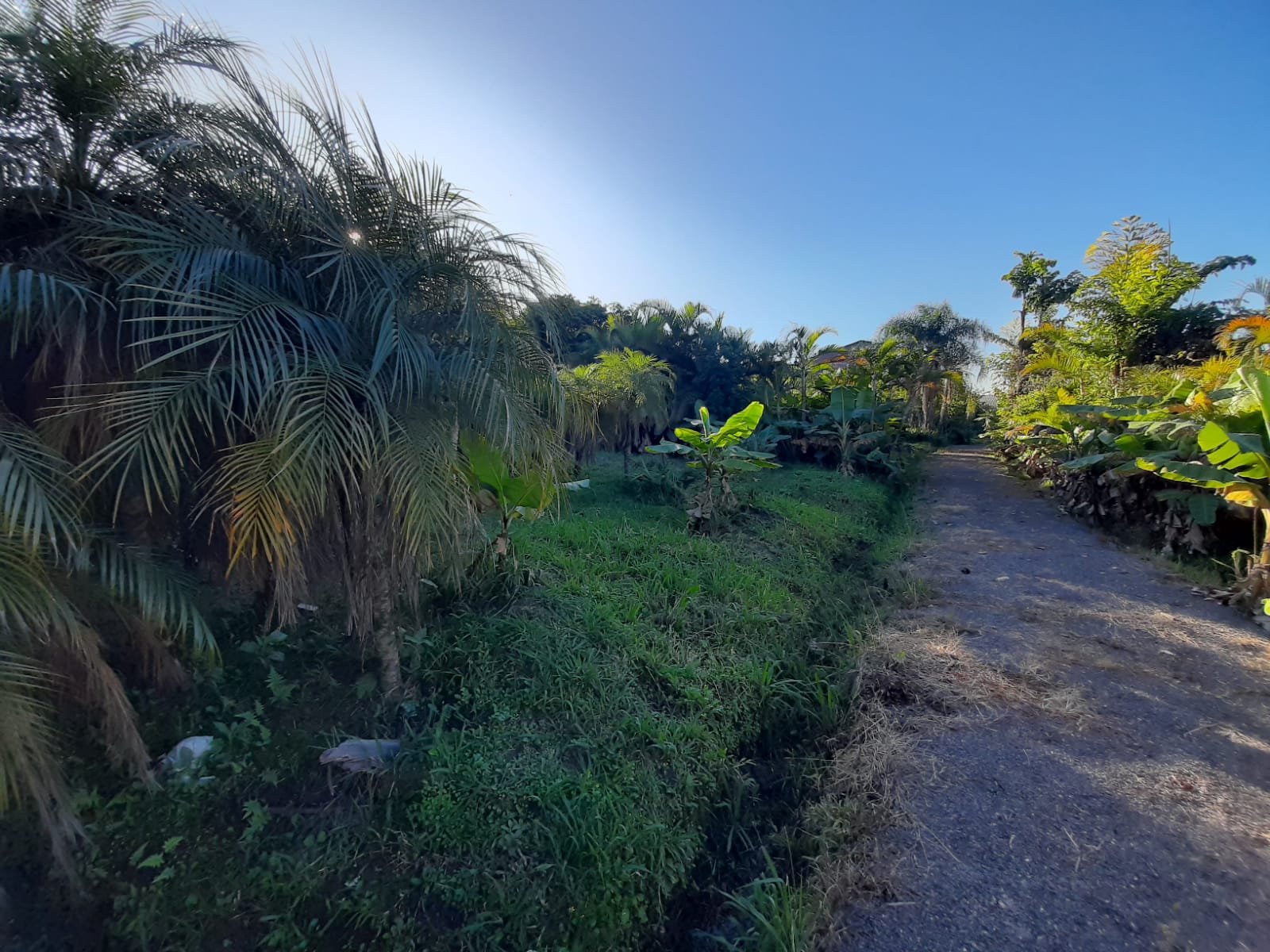 Terreno - Bairro Rincão dos Ilhéus - Estância Velha - Imobiliária Hoffmann