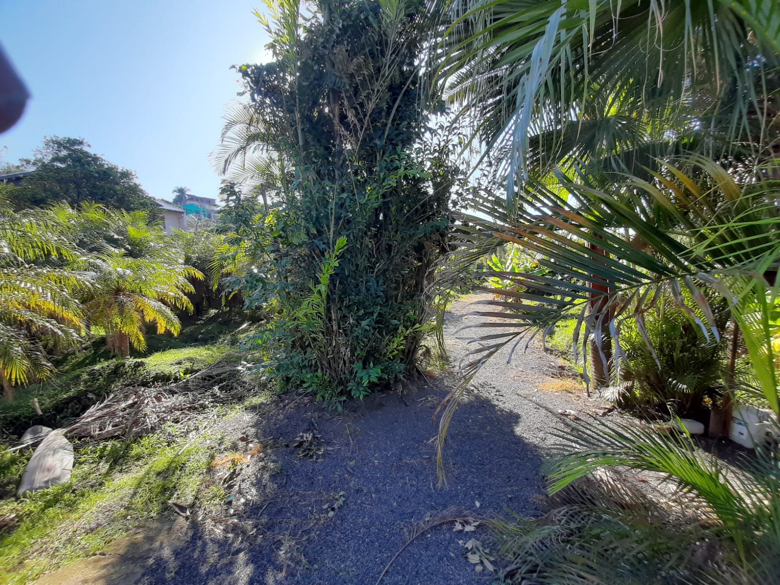 Terreno - Bairro Rincão dos Ilhéus - Estância Velha - Imobiliária Hoffmann