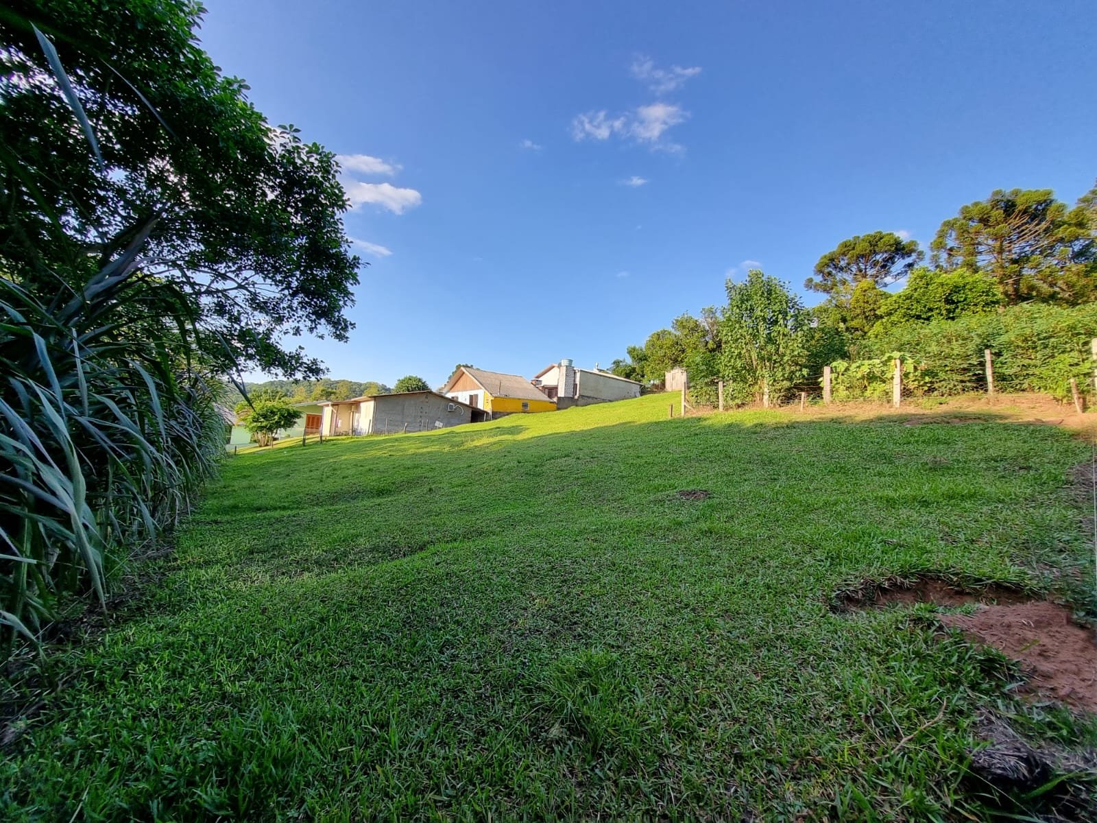 Área de terras - Bairro Floresta - Estância Velha - Imobiliária Hoffmann
