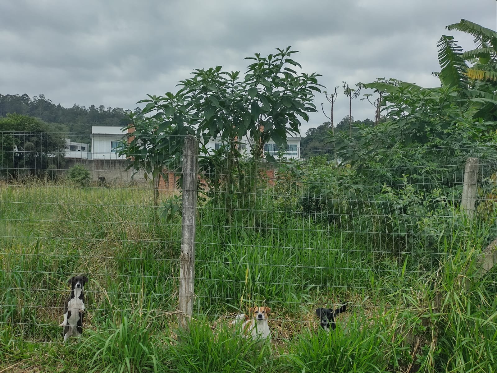 Terreno - Bairro União - Estância Velha - Imobiliária Hoffmann