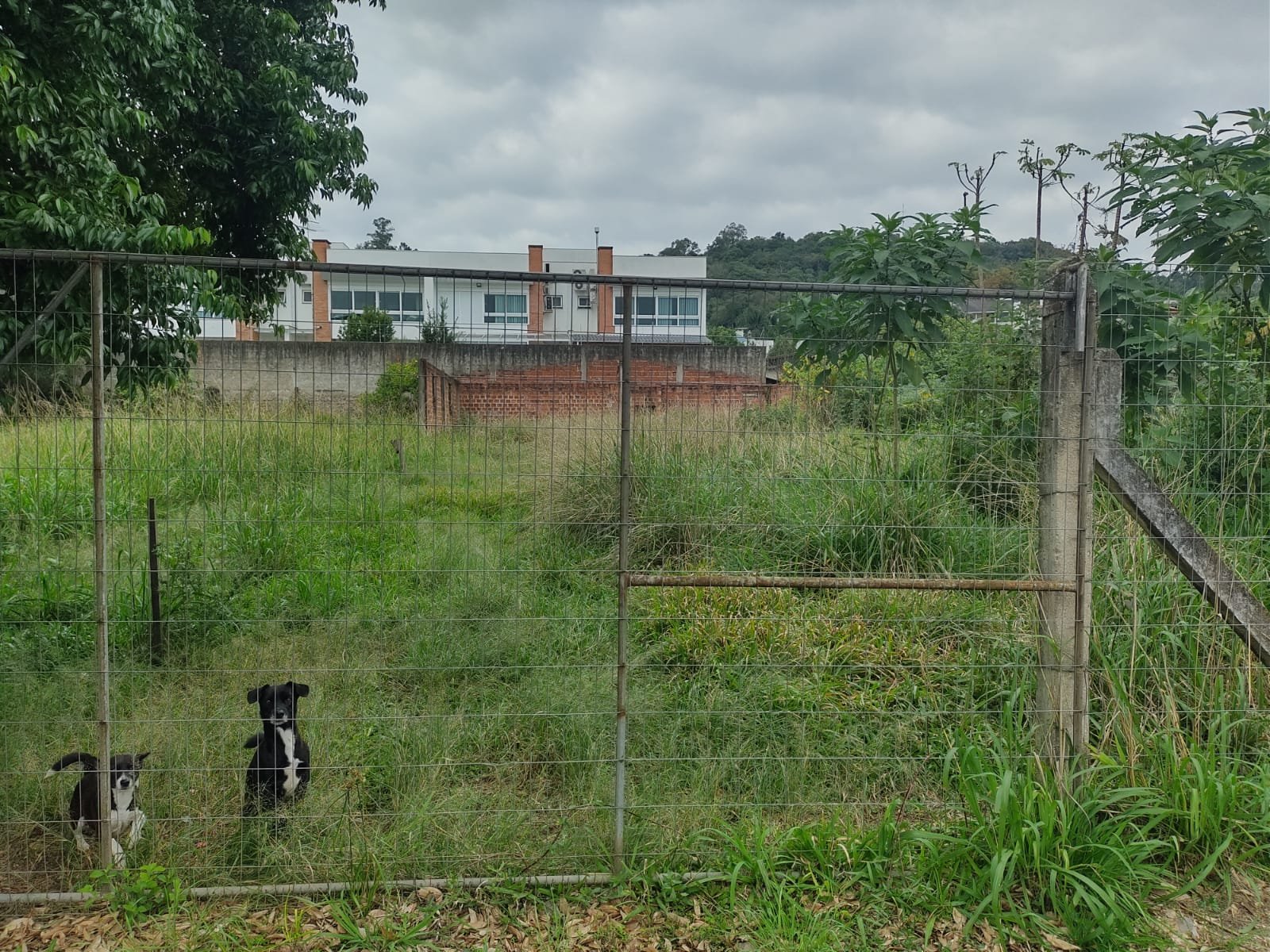Terreno - Bairro União - Estância Velha - Imobiliária Hoffmann