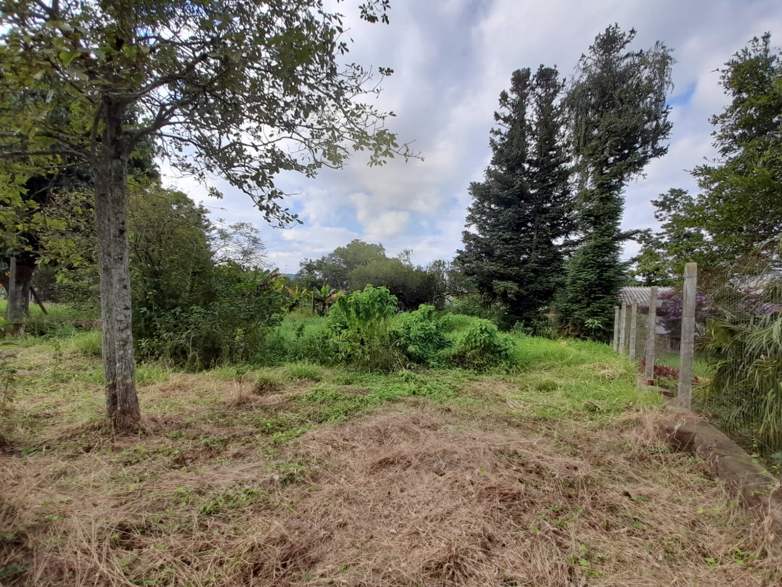 Terreno - Bairro Bela Vista - Estância Velha - Imobiliária Hoffmann