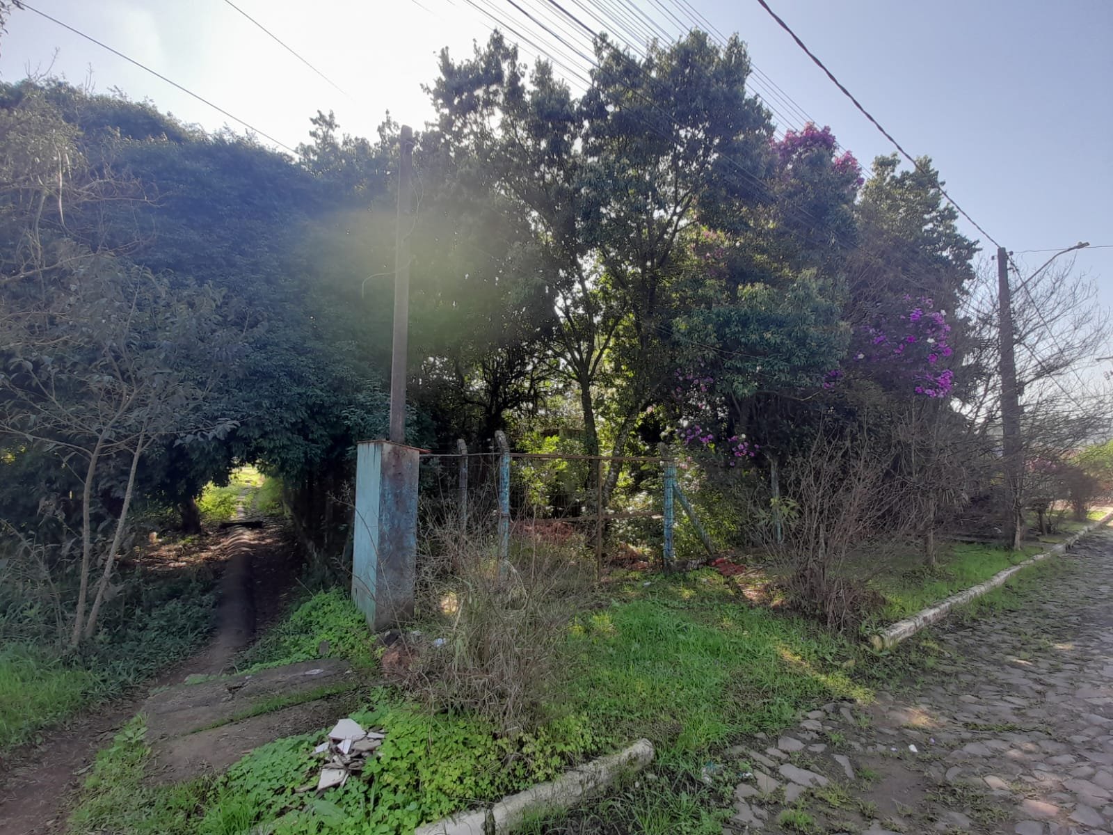 Terreno, à venda - Harmonia - Ivoti - Imobiliária Hoffmann