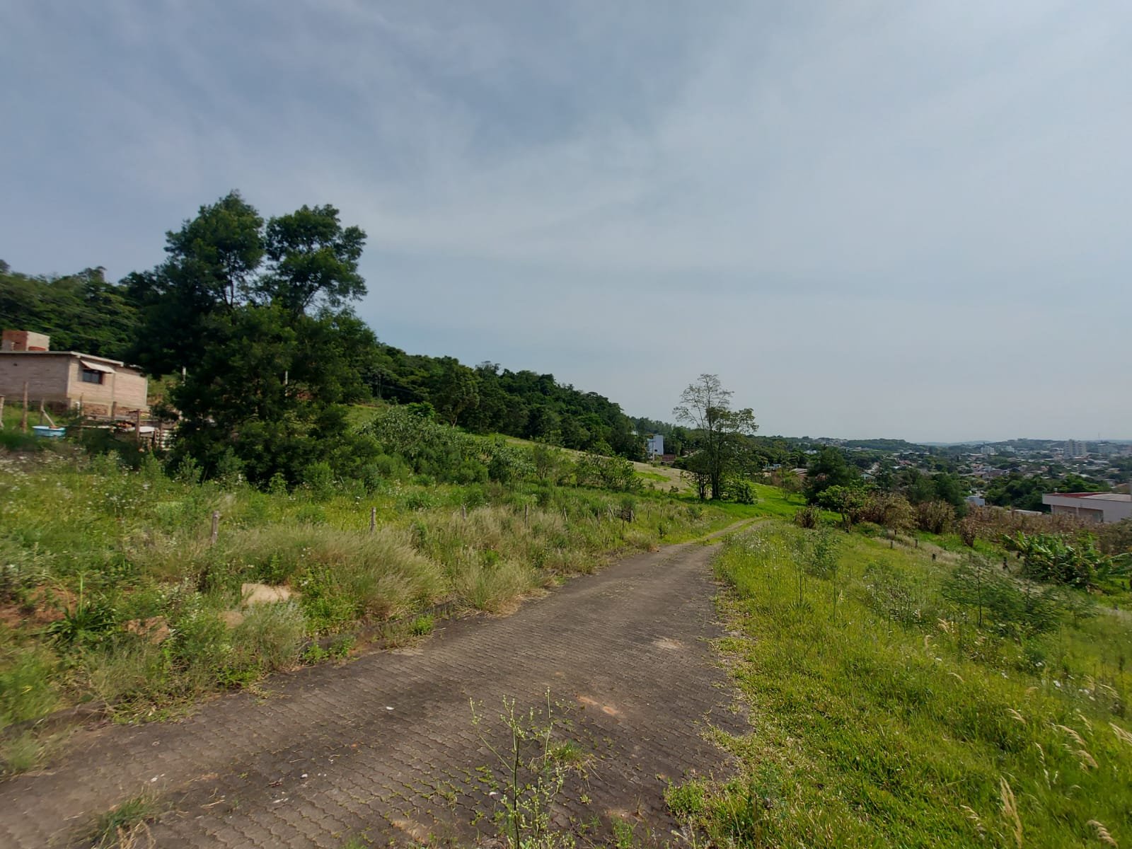 Área, à venda - Floresta - Estância Velha - Imobiliária Hoffmann