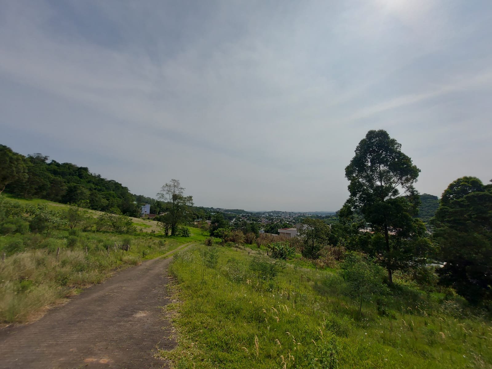 Área, à venda - Floresta - Estância Velha - Imobiliária Hoffmann