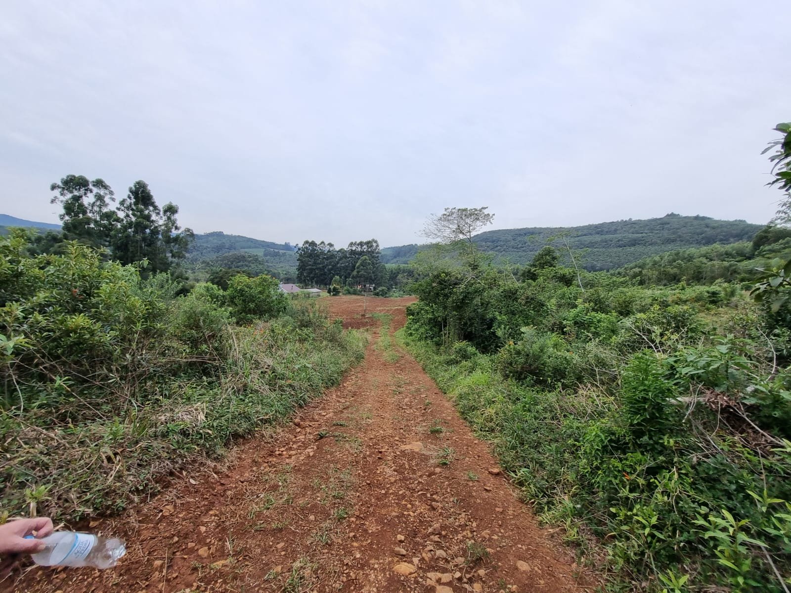 Área, à venda - Morro do Pedro - Presidente Lucena - Imobiliária Hoffmann