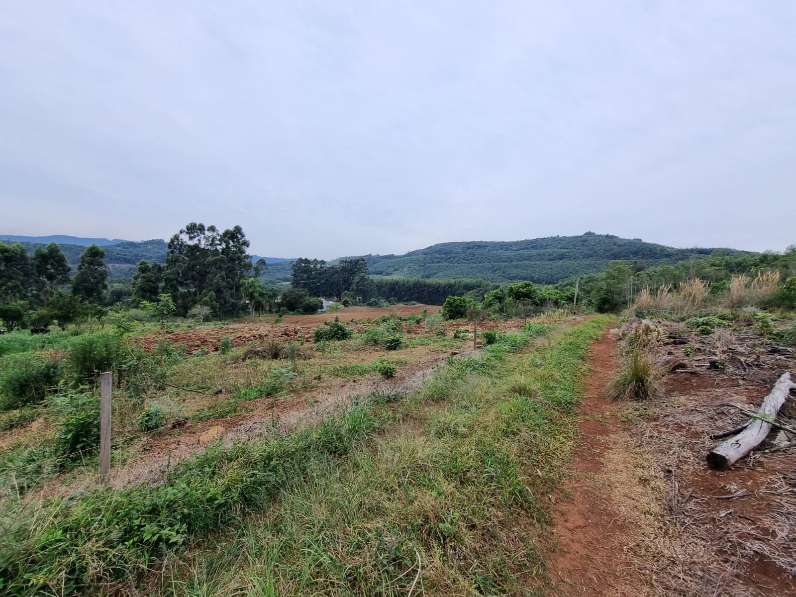 Área, à venda - Morro do Pedro - Presidente Lucena - Imobiliária Hoffmann
