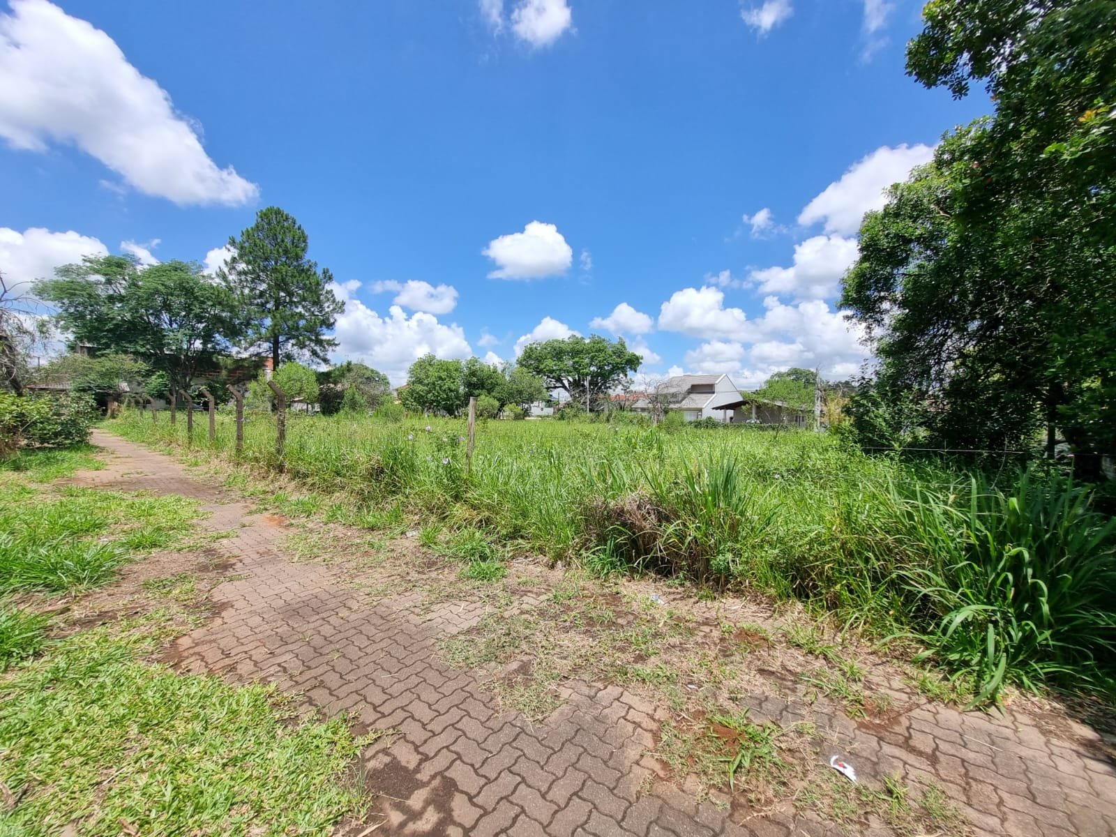 Terreno - Bairro Centro - Estância Velha - Imobiliária Hoffmann
