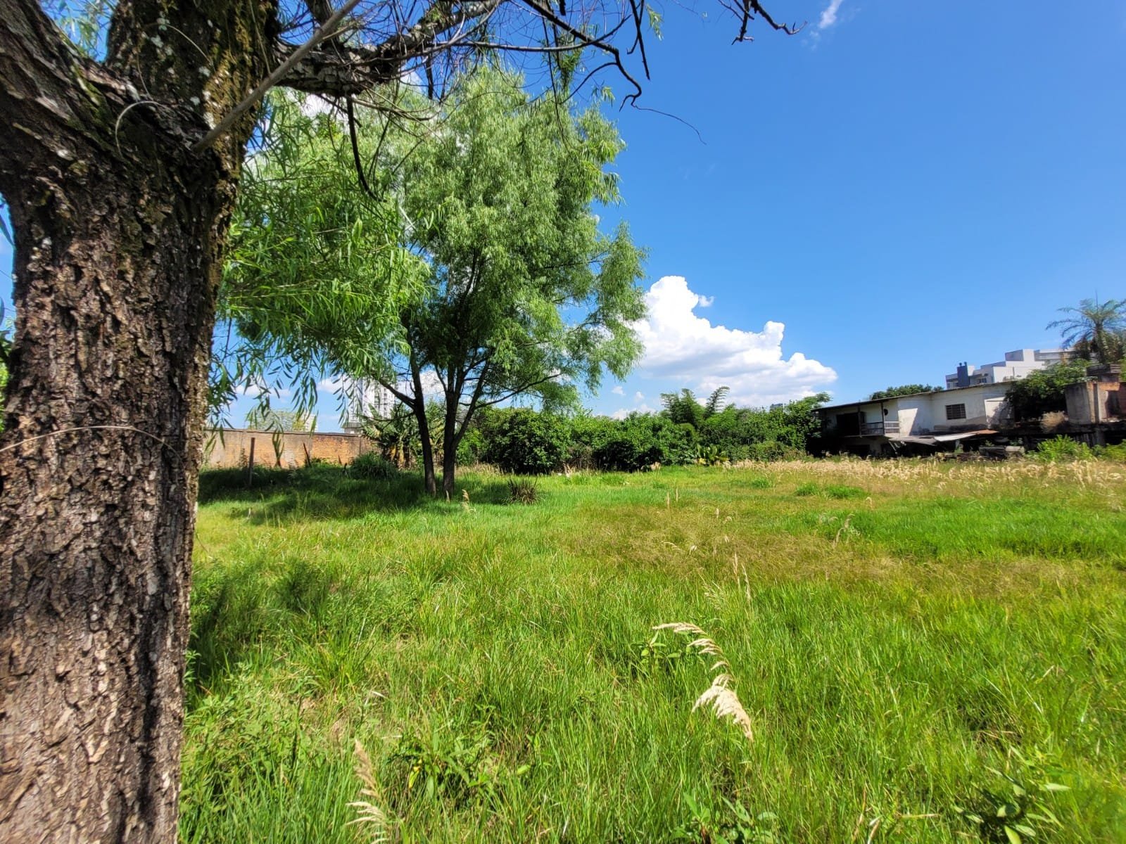 Área Comercial - Bairro Primavera - Novo Hamburgo - Imobiliária Hoffmann