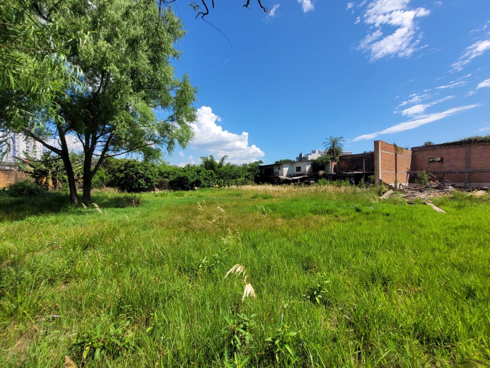 Área Comercial - Bairro Primavera - Novo Hamburgo - Imobiliária Hoffmann