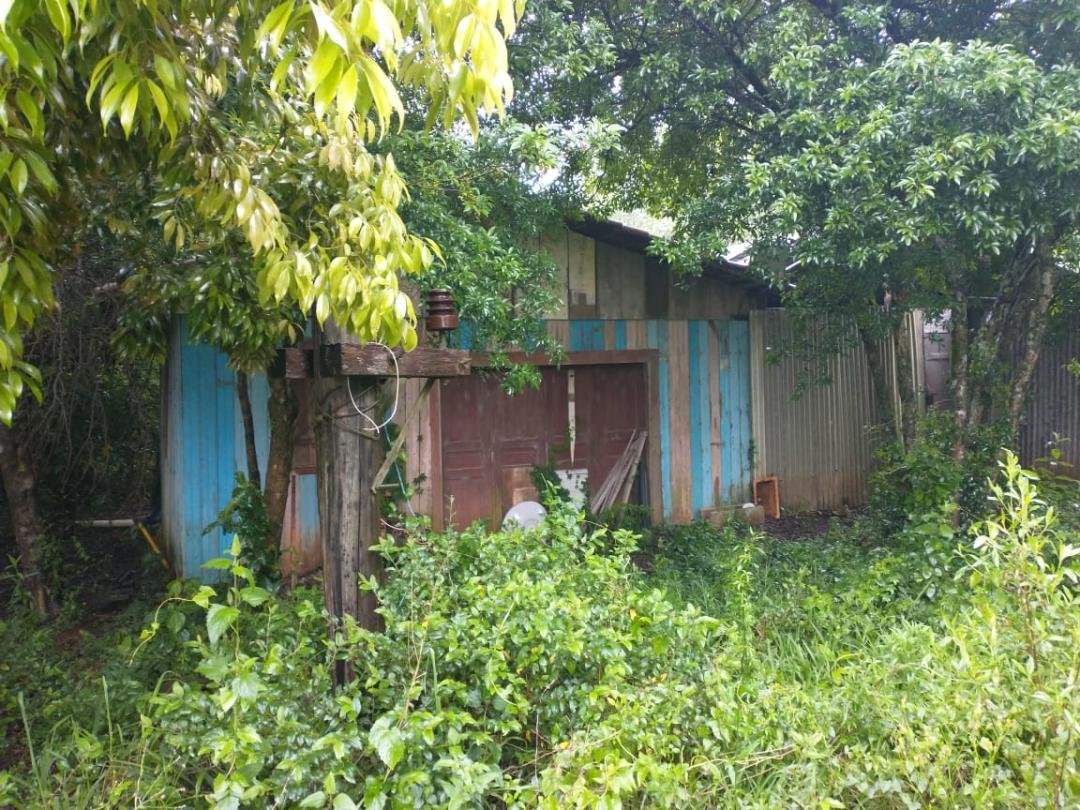 Área - Bairro São Pedro do Maratá - Maratá - Imobiliária Hoffmann