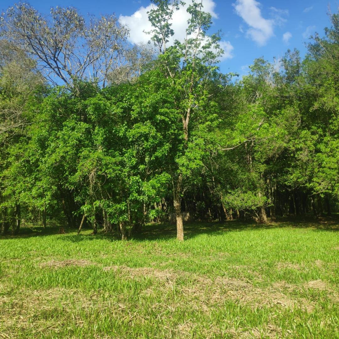 Chácara - Bairro Rincão do Cascalho - Portão - Imobiliária Hoffmann