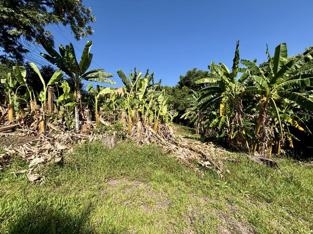 Terreno, à venda - Rincão - Novo Hamburgo - Imobiliária Hoffmann