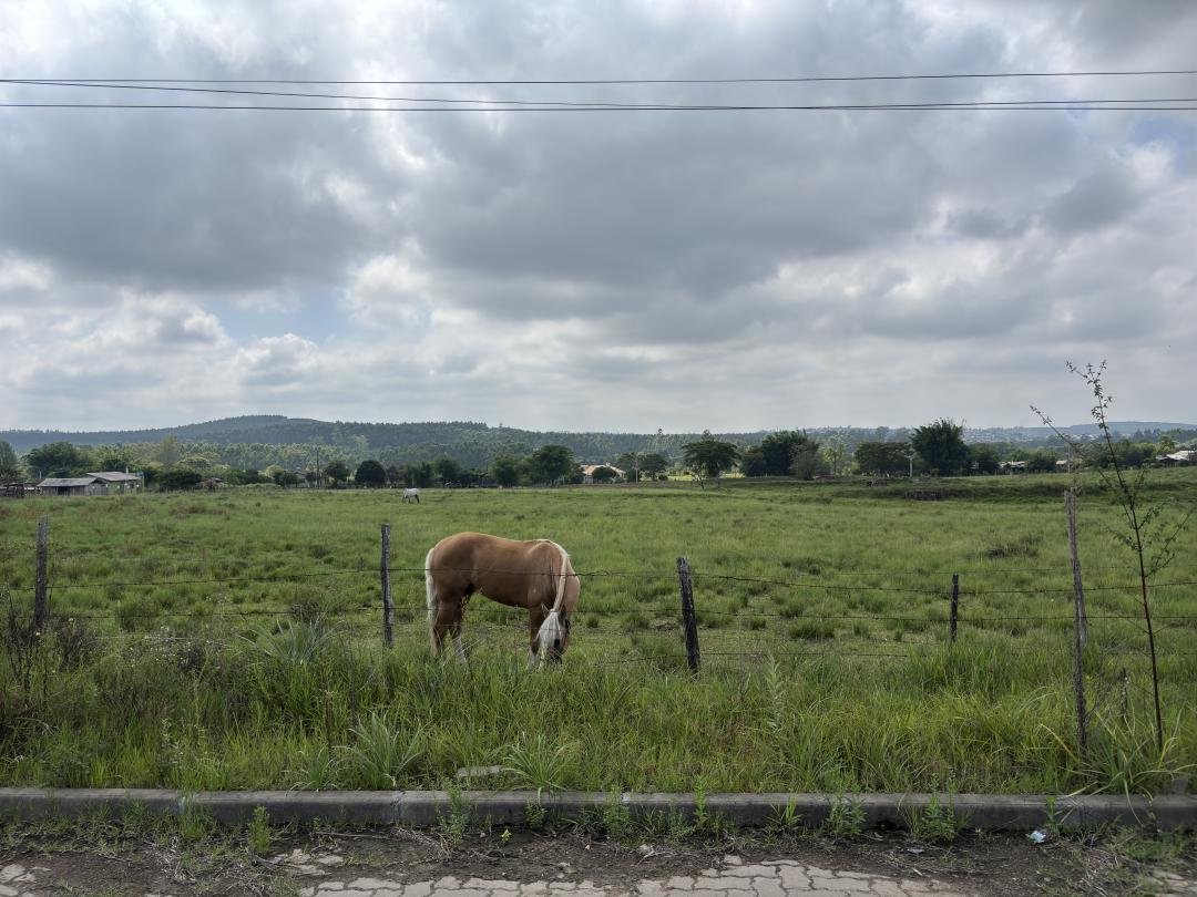 Área de Terras - Bairro Campo Grande - Estância Velha - Imobiliária Hoffmann