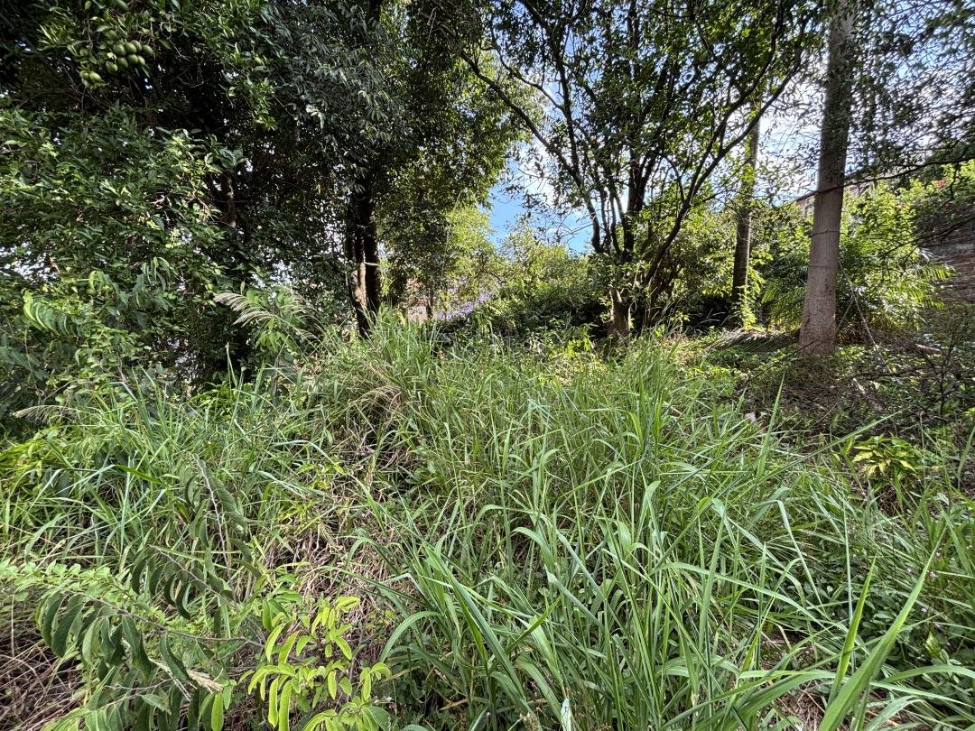 Terreno - Bairro Rincão dos Ilhéus - Estância Velha - Imobiliária Hoffmann