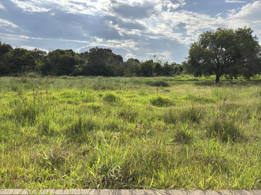 Terreno, à venda - Campo Grande - Estância Velha - Imobiliária Hoffmann