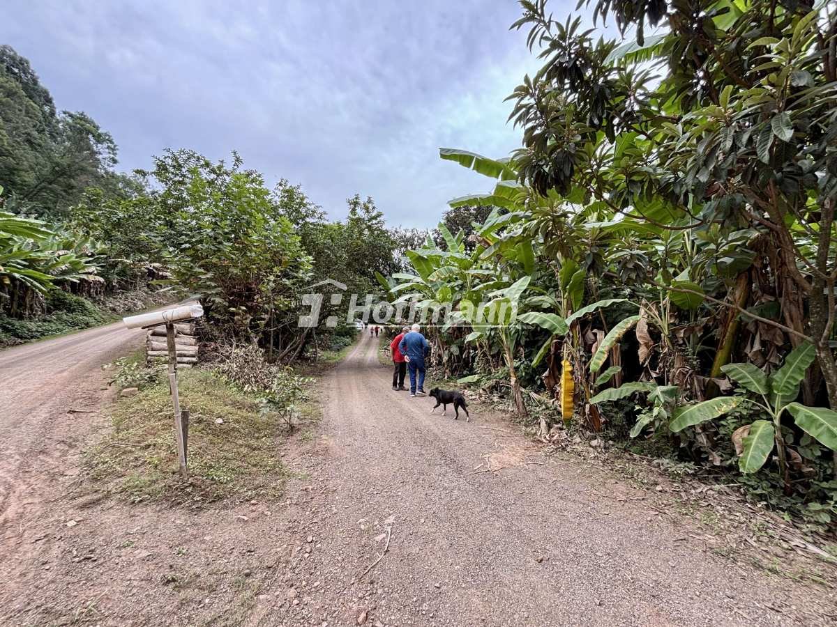 Chácara/Sítio - Picada Café - Serra Gaúcha - Imobiliária Hoffmann