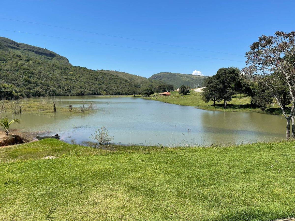 Sítio à venda com 3 quartos, 15000m² - Foto 11