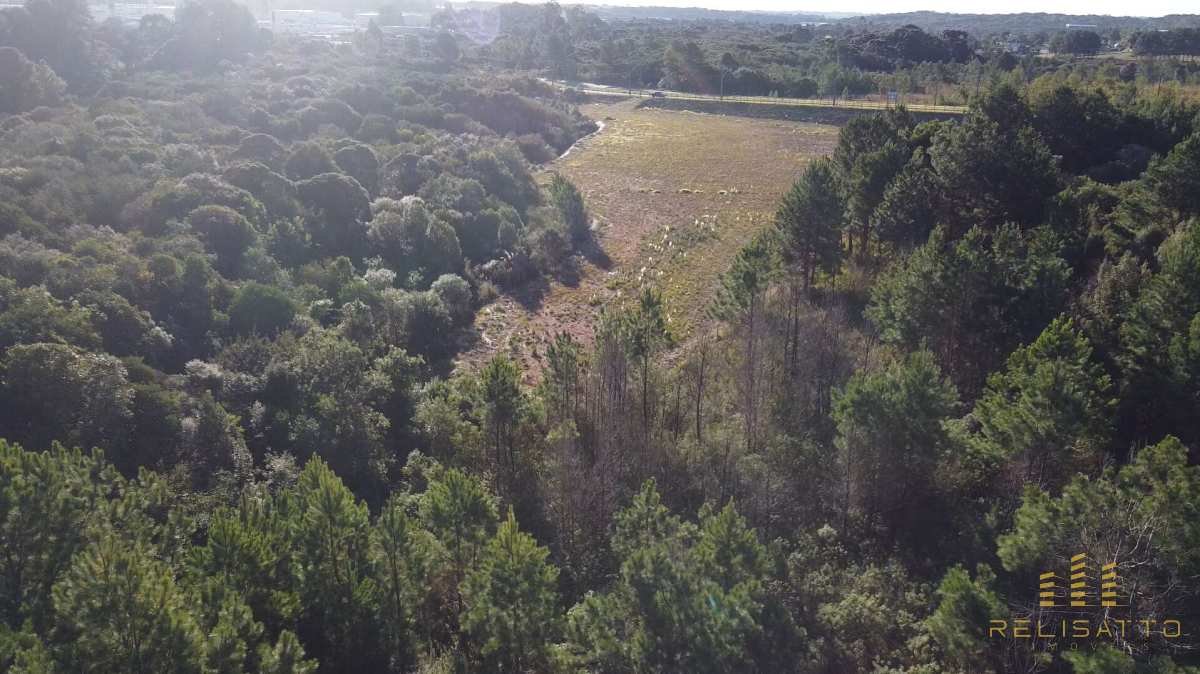 Área industrial em São José dos Pinhais - Relisatto Imóveis • Gabriela Busato  Especialista em Imóveis de Médio e Alto Padrão